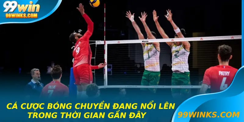 Cá cược bóng chuyền đang nổi lên trong thời gian gần đây