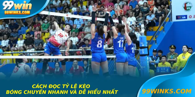 Cách Đọc Tỷ Lệ Kèo Bóng Chuyền Nhanh Và Dễ Hiểu Nhất
