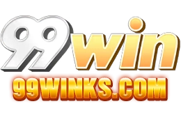 99winks.com