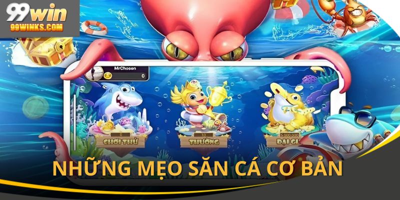Những mẹo săn cá cơ bản mà anh em cần nắm